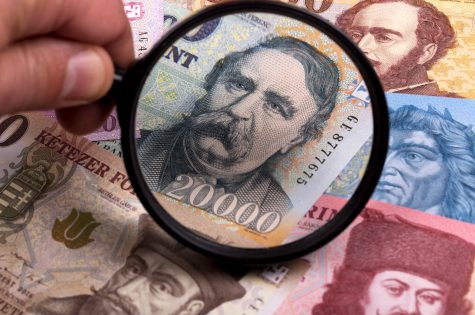 Hungarian forint in a magnifying glass Hungarian forint in a magnifying glass
